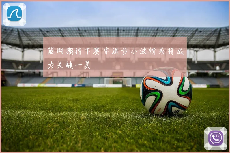 篮网期待下赛季进步小波特或将成为关键一员