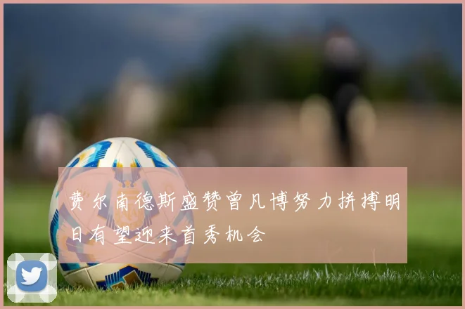 费尔南德斯盛赞曾凡博努力拼搏明日有望迎来首秀机会