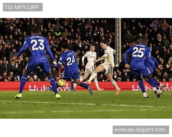 罗塞尼尔首秀缺席切尔西足总杯对富勒姆将观战看台