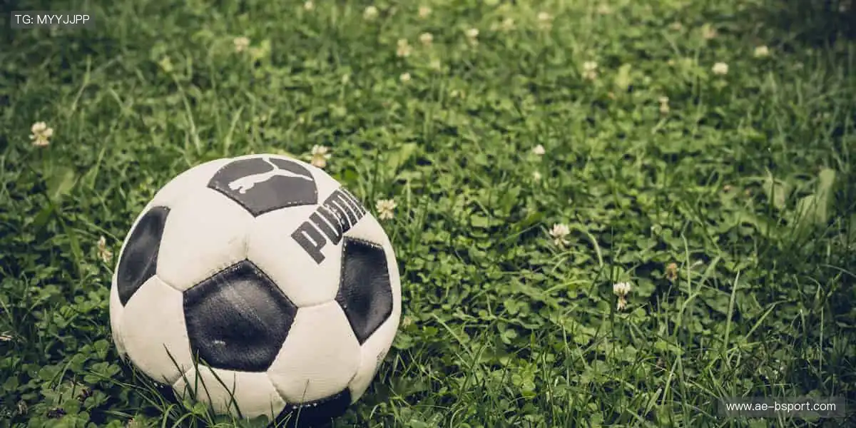 球迷专属，用细节传递热爱🎯❤️